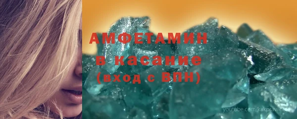индика Верхний Тагил