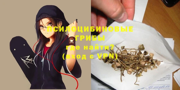 МДПВ Верея