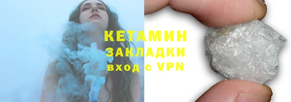 индика Верхний Тагил