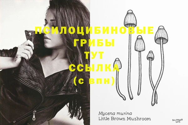 шишки Сафоново