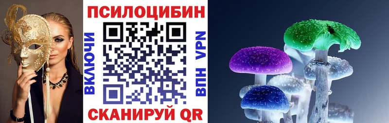 Псилоцибиновые грибы GOLDEN TEACHER  Дегтярск 